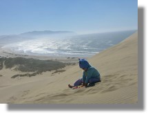 Cape Kiwanda View to south