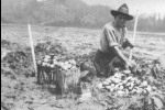 Nice catch from Dory History Dory Pacific City