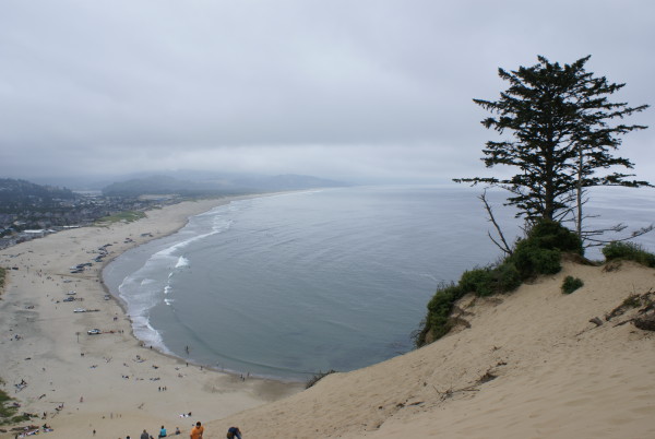 are dogs allowed in town lake pacific city oregon